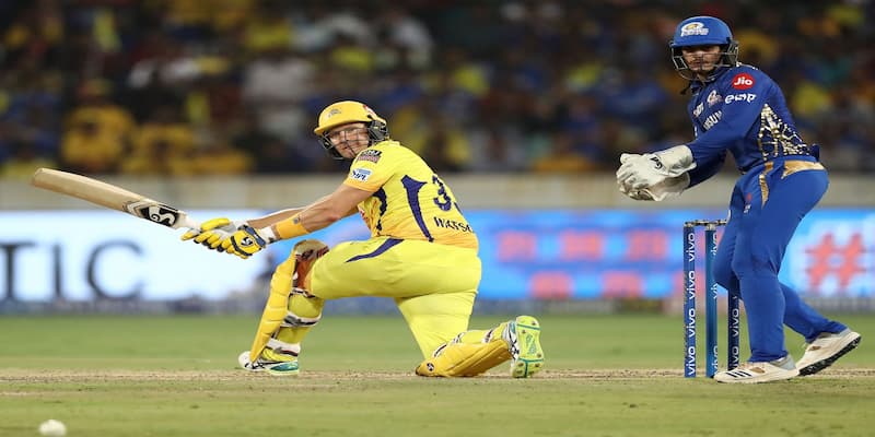 Kinh nghiệm cá cược cricket từ cao thủ