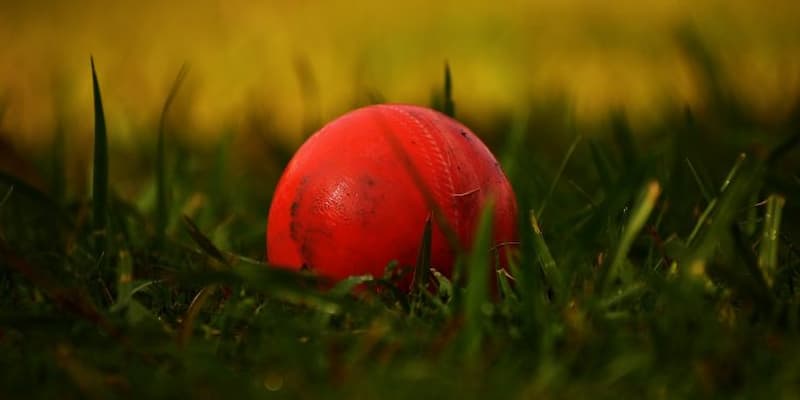 Các loại kèo phổ biến trong cá cược cricket